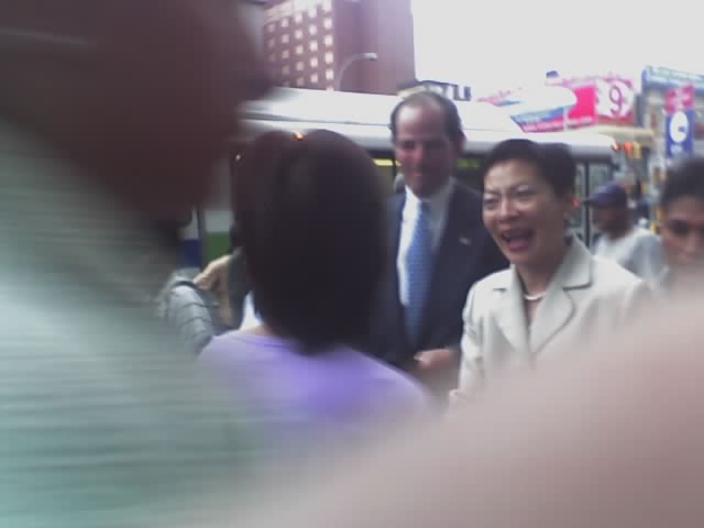 Spitzer Campaigns in flushing